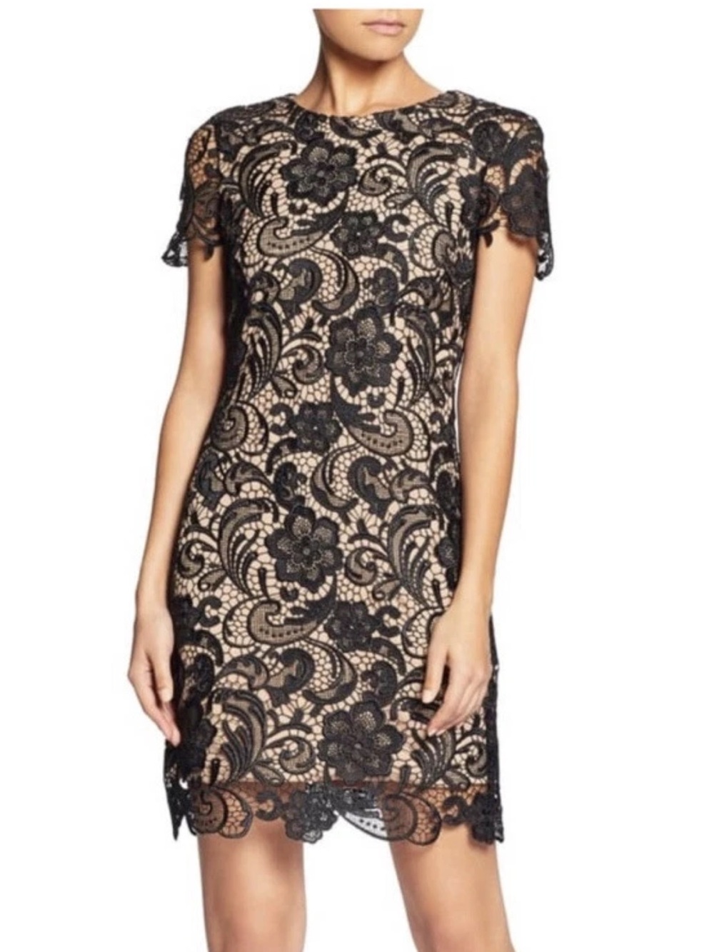 Dress the Population Anna Black Lace Sheath Cocktail Dress Size S